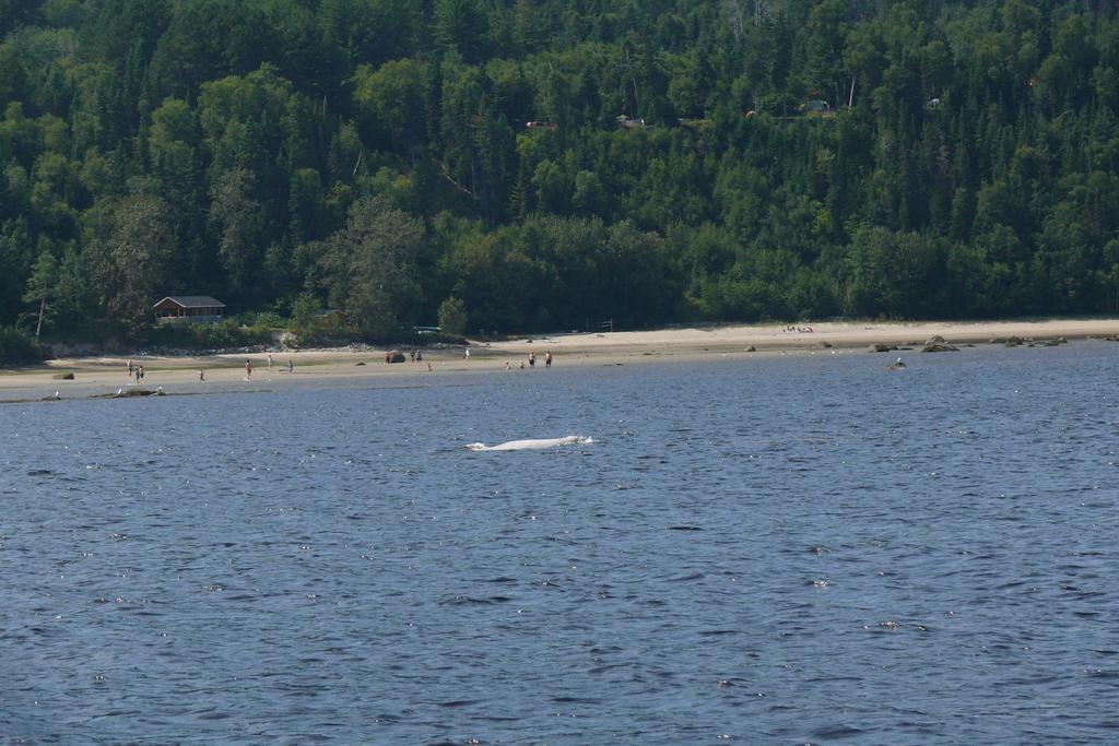 Вілла Riviere Petit Saguenay Екстер'єр фото
