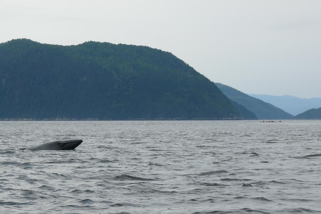 Вілла Riviere Petit Saguenay Екстер'єр фото